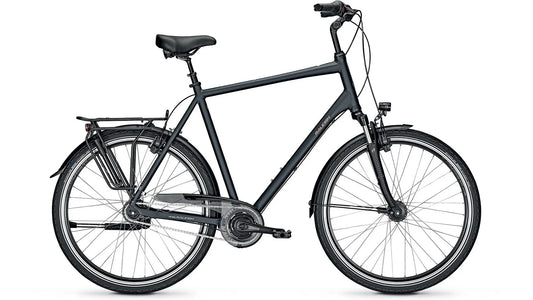Raleigh Chester 8 XXL