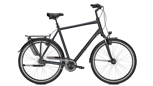 Raleigh Chester 8 XXL