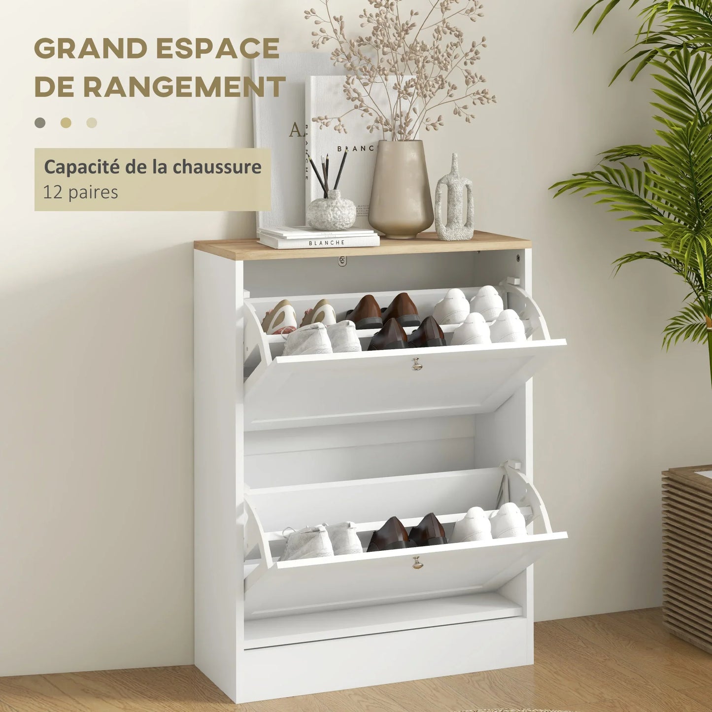 HOMCOM Shoe Cabinet for 12 Pairs, Slim Shoe Storage Cabinet, Modern Furniture Piece for the Entrance Area with 2 Flip-Down Drawers and Adjustable Shelves, for Hallway and Entrance Area, 60 x 24 x 80 cm, White